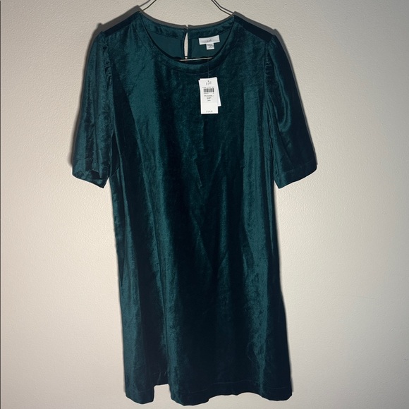 NEW J. Jill Women's Teal Green Velvet Puff Sleeve Shift Dress medium petite $129 - Picture 2 of 10